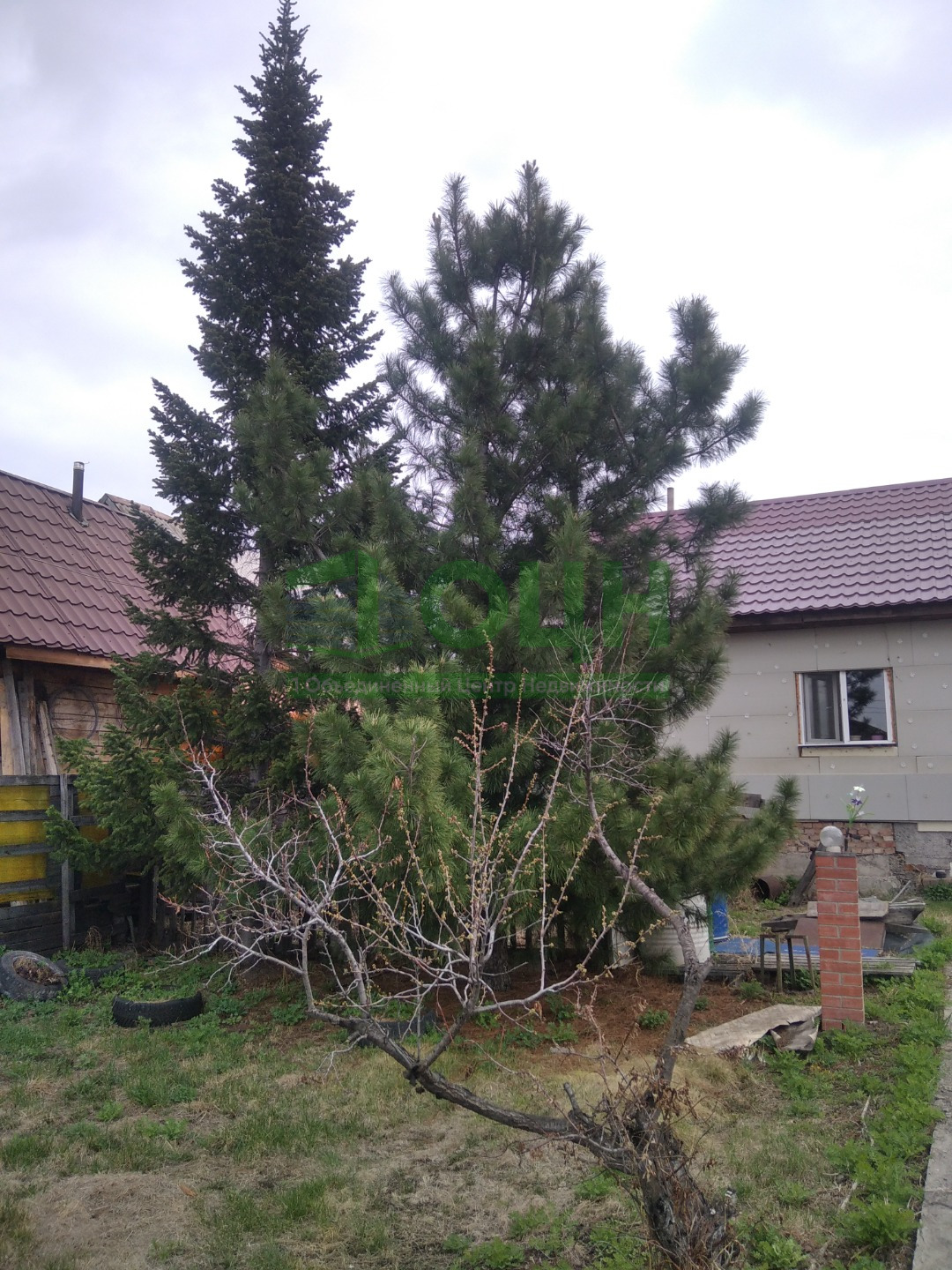 Расположен СНТ Ветерок пос. Солонцы, черта города. 700м от конечной остановки. Участок 6 соток, межевание. Баня 2-х этажная, беседка. Отопление печное + печь в доме. Вода центральная, бойлер. Септик 6 кубов. Прописка городская.